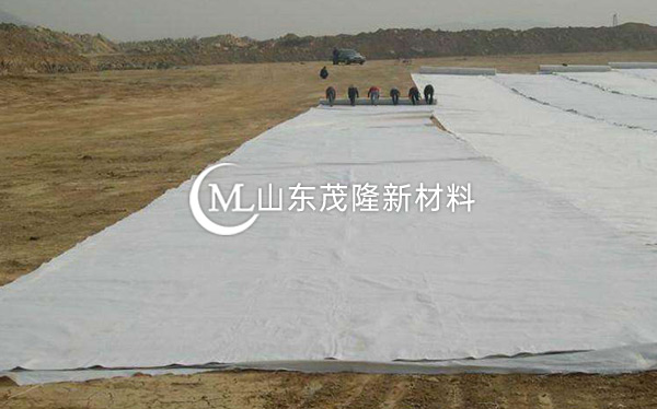 《天府机场TJ6标》土工格栅、土工布、排水板施工