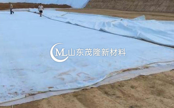 《现西咸新区高尔夫》土工布、复合土工布施工