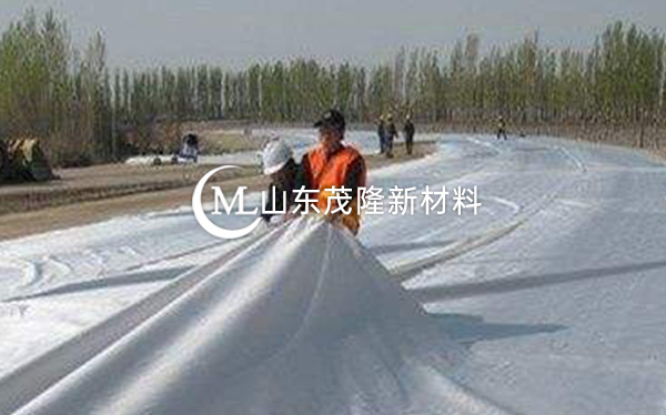《河北省邯郸园博园》土工布、排水板施工