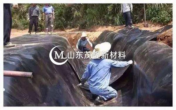 ?低价产品买到的土工膜寿命短，自然这个低价没有任何意义。