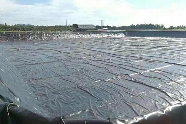 土工膜粘层强度测试详解  第2张