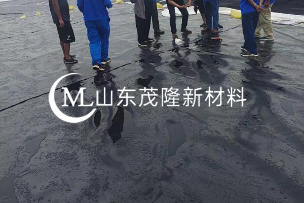 《中国石化洛阳分公司洛阳原油商储基底工程项目》土工膜施工