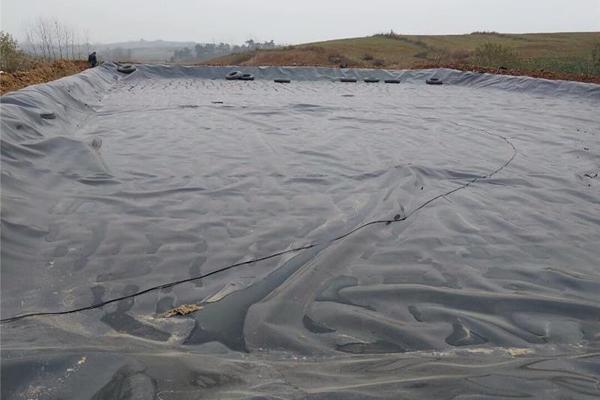 防渗土工膜检测项目