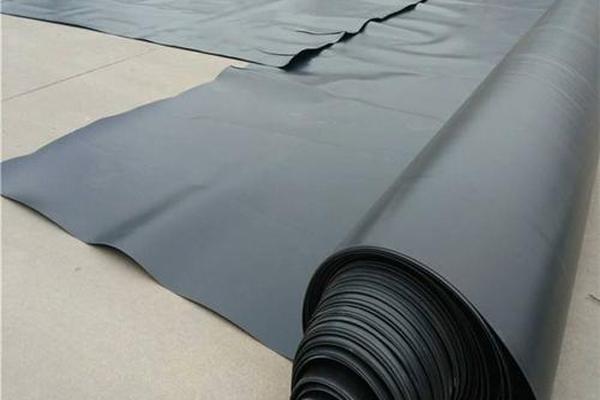 荷花池土工膜怎么施工 第2张