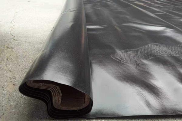 鱼塘土工膜怎么施工 第1张